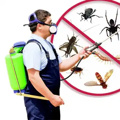 pest control Califon